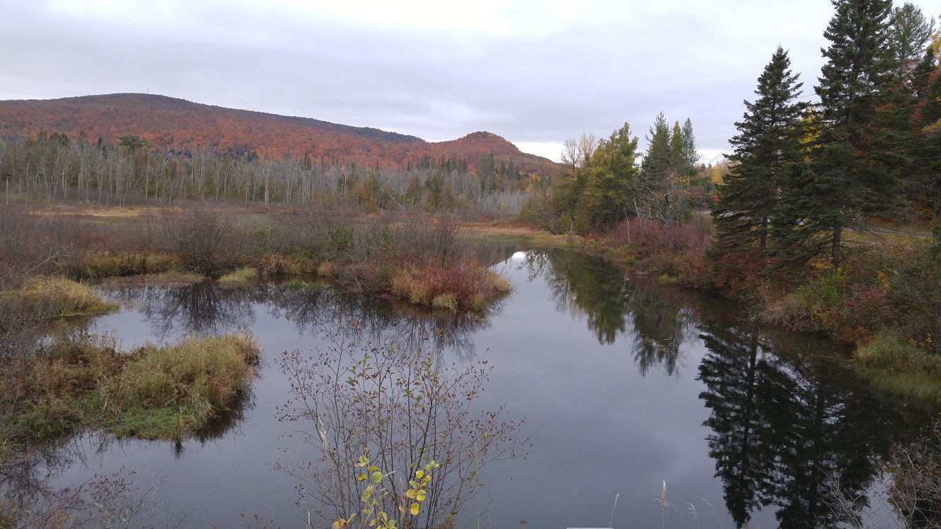 Fishing Access Areas VT Fish&Wildlife